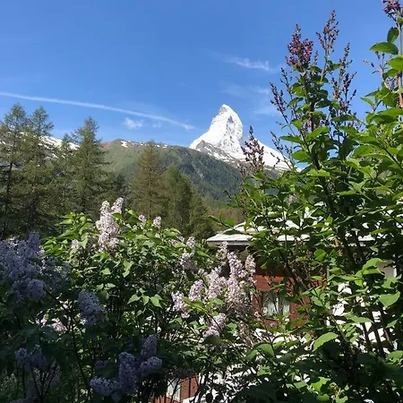 Haus Alsuki Bellevue
