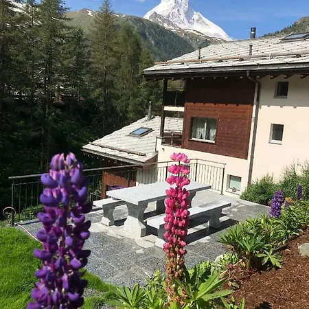 Haus Alsuki Bellevue