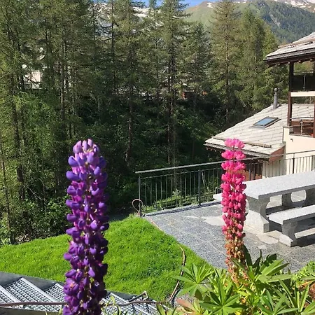 Apartment Haus Alsuki Bellevue *